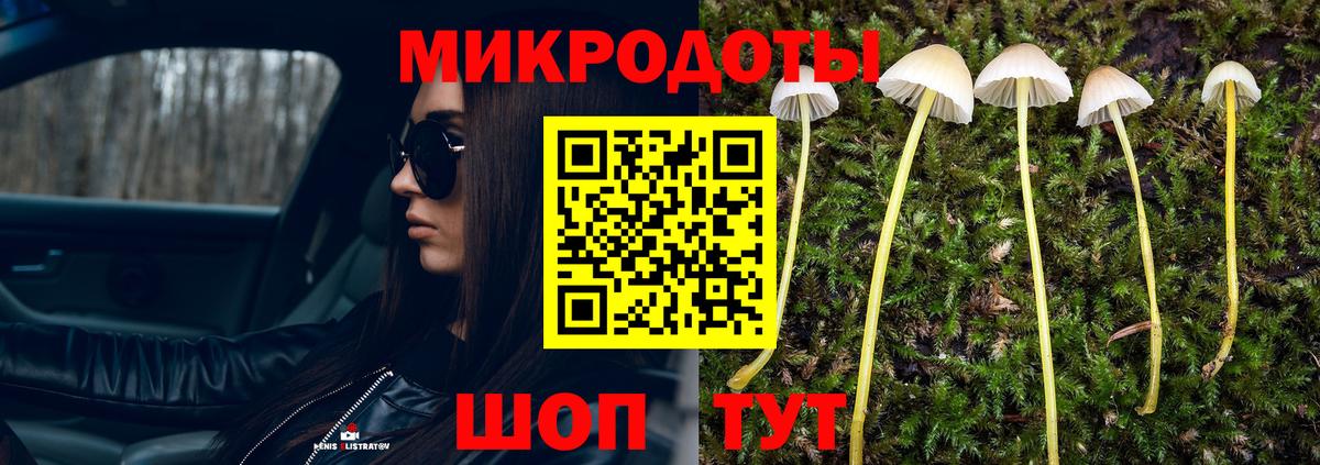 Тара  Галлюциногенные грибы Psilocybine cubensis  Вход с VPN  Галлюциногенные грибы мицелий 