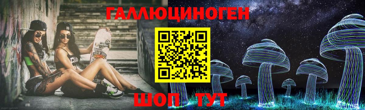 Галлюциногенные грибы Psilocybine cubensis Тара