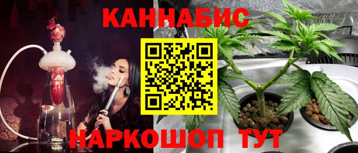 Бошки Шишки ГИДРОПОН Тара